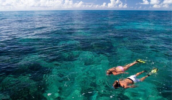 Snorkeling in cancun isla mujeres