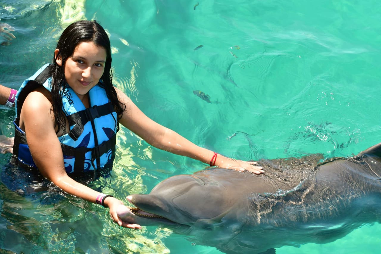 Nadar con delfines en Cancún