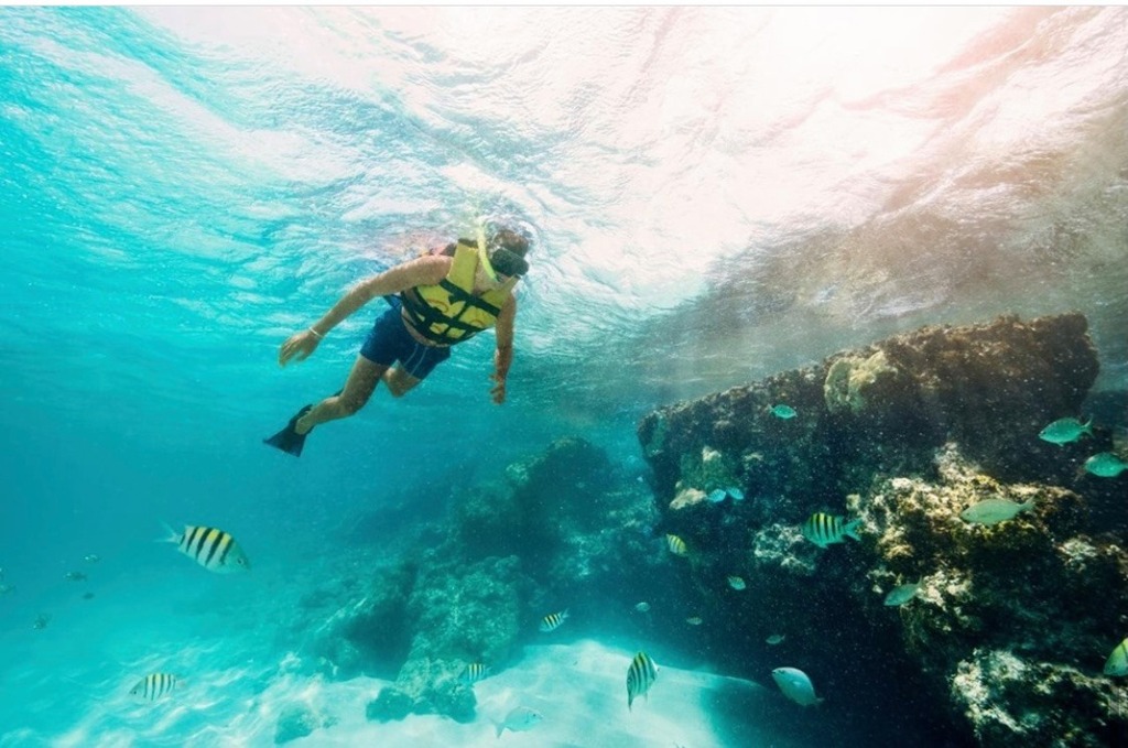 donde hacer snorkel en cancun 2 -