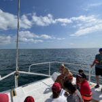 tour de catamaran en cancun en un dia soleado y cielo despejado