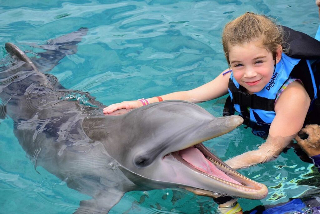 niña nadando con delfines en cancun 
